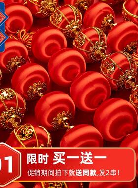 灯笼新款2025喜庆过新年春节装饰用品乔迁之喜红色小灯笼连串挂件