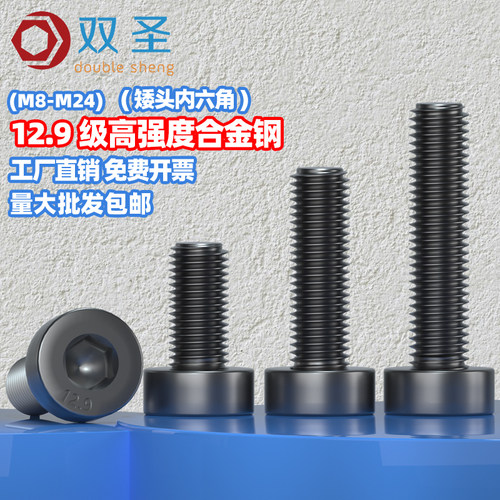 双圣矮头内六角12.9级