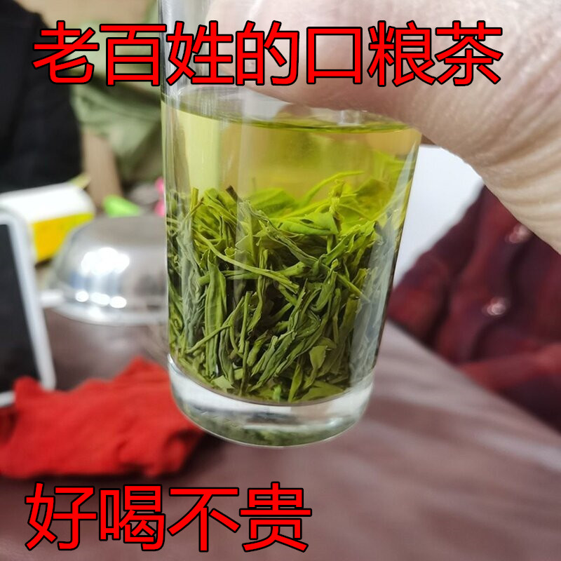 绿茶2024新茶明前头采嫩芽茶500g口粮高山云雾茶浓香耐泡炒青茶叶