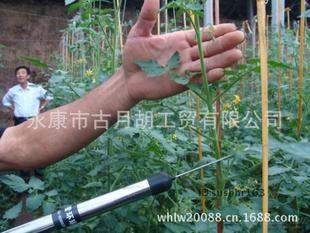 荷兰粉粉器授厂 粉家圣女果电动器直 授番茄器销授授粉西红柿器