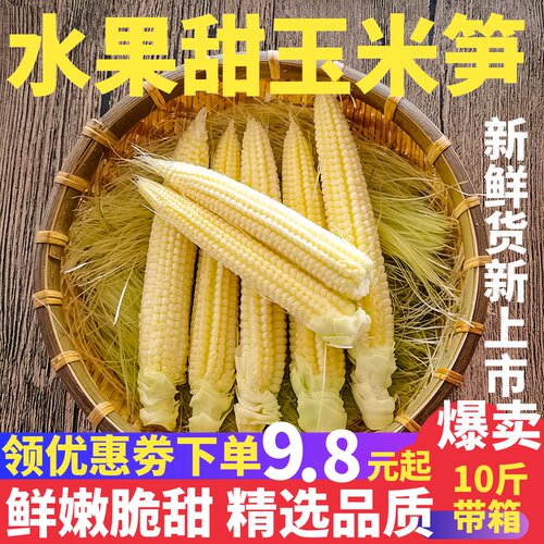 新鲜玉米笋价格 新鲜玉米笋图片 星期三