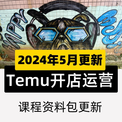 2024跨境拼多多temu实战营课程3天快速开启多多跨境之旅课程教程