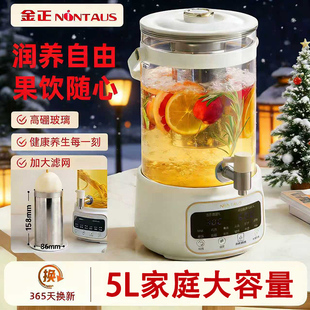 金正养生壶家用烧水壶5L大容量高硼玻璃电热水壶健康煮茶壶花茶桶