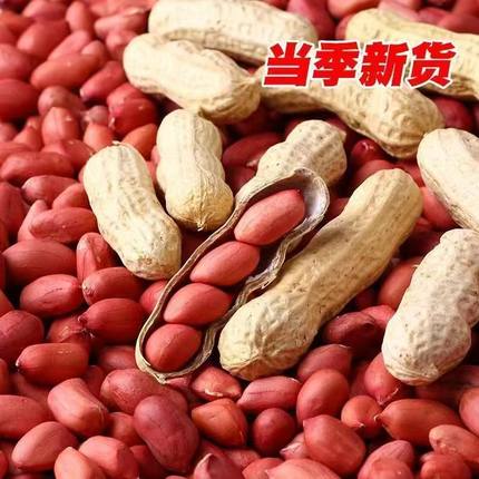 东北2025年新货红皮花生果带壳四粒红新鲜晒干生农家自种红衣