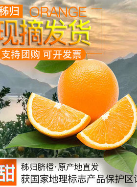 秭归脐橙九月红纽荷尔长红圆红橙
