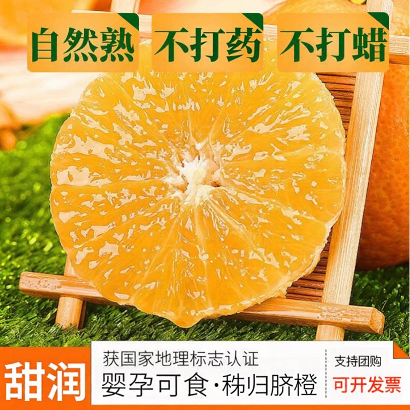秭归九月红脐橙纽荷尔圆红长虹中华红心脐橙当季水果不打蜡不打药