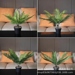 仿真加利龙血树小苗叶子千年木铁树花热销北欧水西西瓜树枝冷水多