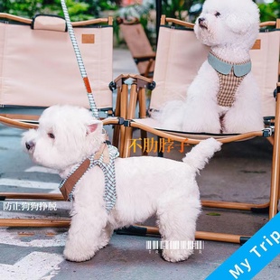 马夹猫咪 狗狗牵引绳宠物衣服薄胸背泰迪比熊雪纳瑞背心式 四季 新品