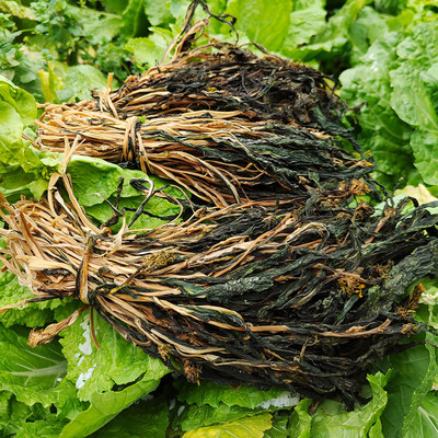 白菜苔干菜心干货大全菜芯湖南特产干菜类农家自制菜干油菜干盐菜