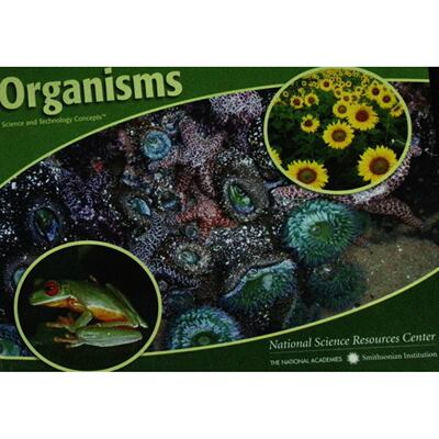 英文原版图书生物科学绘本