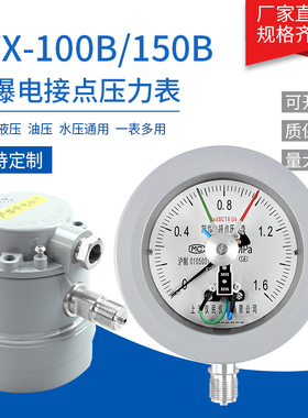 YTX-100B 防爆电接点压力表 电气设备ExdIIBT6/CT6 上海仪民