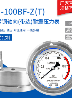 YN100BF-ZT 不锈钢耐震压力表 轴向带边 面板式 耐温 上海仪民