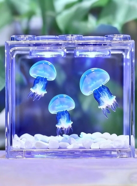 水母活物家养宠物水母发光桌面缸学生儿童无毒好养小宠物海洋动物