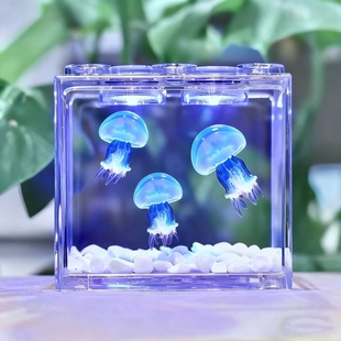 水母活物家养宠物水母发光桌面缸学生儿童无毒好养小宠物海洋动物