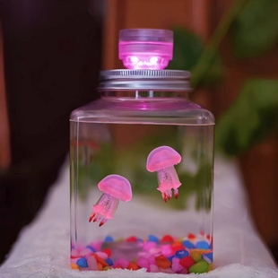 水母活物宠物水母发光水母桌面缸懒人学生儿童节礼物无毒小动物