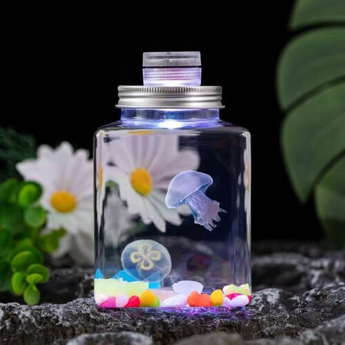 水母活物水族宠物海洋馆同款水母