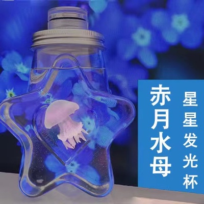 六一儿童学生赤月水母活物宠物