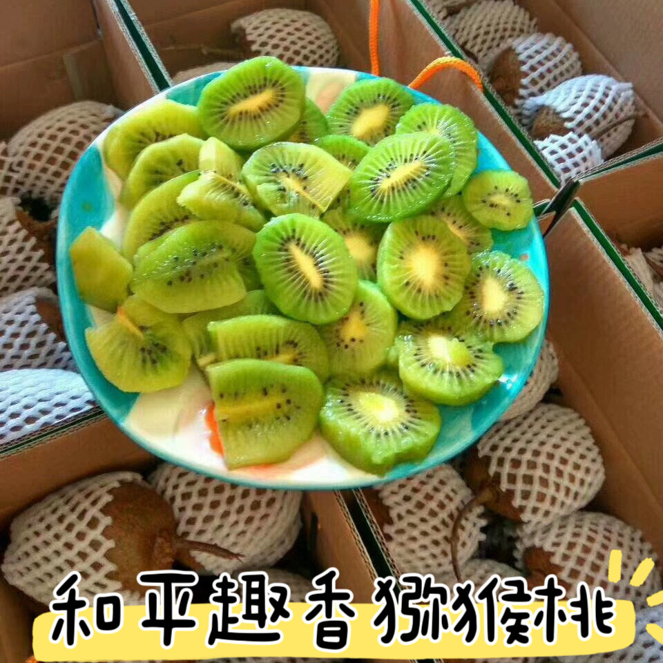 河源和平猕猴桃趣香绿心新鲜现摘奇异果/猕猴桃