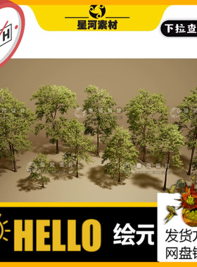 UE5虚幻5写实逼真森林白荆树白蜡树青榔木树木桦树道具3D模型资产