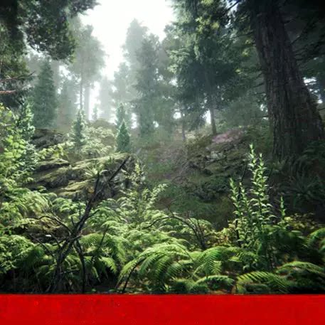 unity3d写实森林场景forest松树木石头灌木草植物自然环境模型包