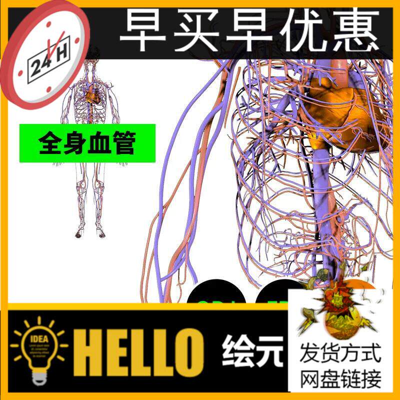 心血管系统静脉动脉人体医学解剖3d模型建模素材blender三维538