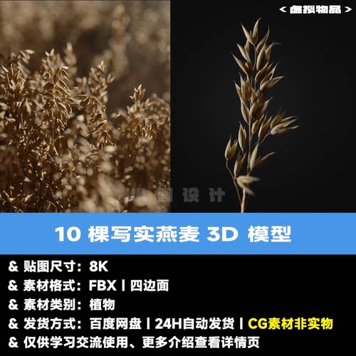 10款C4D写实植物燕麦3D模型FBX Blender麦子农作物三维素材3dmax