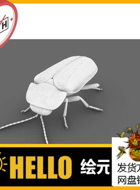 昆虫动物 萤火虫 犀牛建模rhino/C4D/3Dmax/maya模型obj
