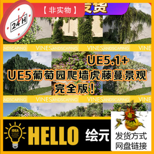 Vines Landscaping 藤蔓爬墙虎园林绿化景观植物场景 UE5虚幻5