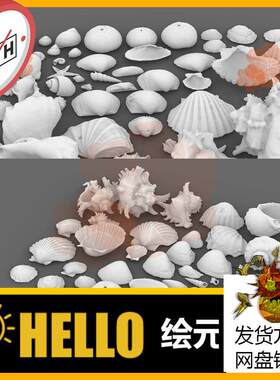 海洋生物 贝壳海星海螺 犀牛建模rhino/C4D/3Dmax/maya模型obj