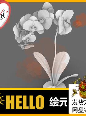 蝴蝶兰 场景植物花卉 犀牛建模rhino/C4D/3Dmax/maya模型obj 3dm