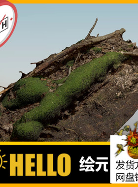 树根3D模型UE5 Bridge素材模型可导入3DMAX C4D等软件带高清贴图