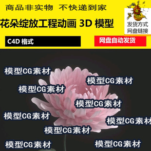 C4D花朵绽放工程植物生长花朵生长自然植物开花动画效果3D模型
