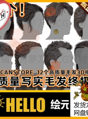 3DScanStore高质量写实角色毛发男女插片头发卡3D模型Blender FBX