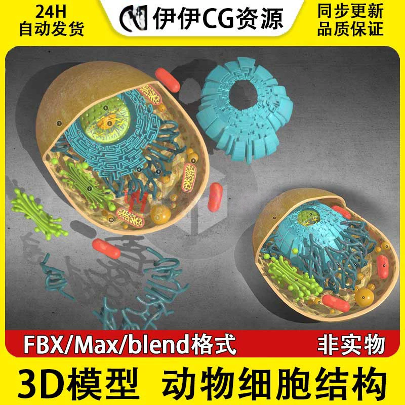 3D模型3Dmax生物模型动物细胞中心体细胞膜线粒体核糖体高尔基体