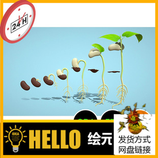 种子发芽过程植物生长变化3D模型建模OBJ素材blender文件下载621