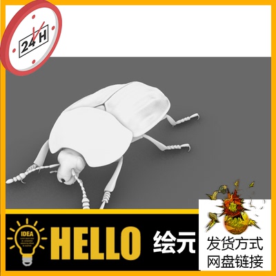 昆虫动物 食腐甲虫 犀牛建模rhino/C4D/3Dmax/maya模型obj