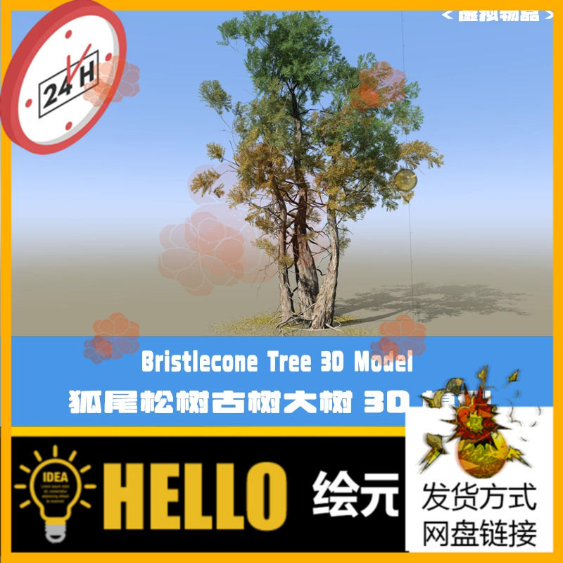 C4D老树古树3D模型狐尾松Blender大树Speedtree工程3DMAX FBX模型