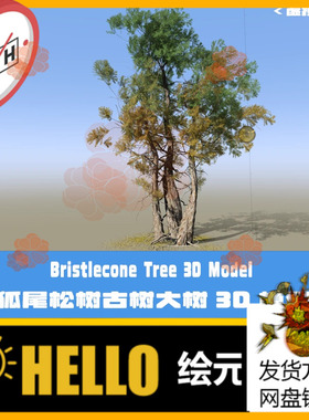 C4D老树古树3D模型狐尾松Blender大树Speedtree工程3DMAX FBX模型