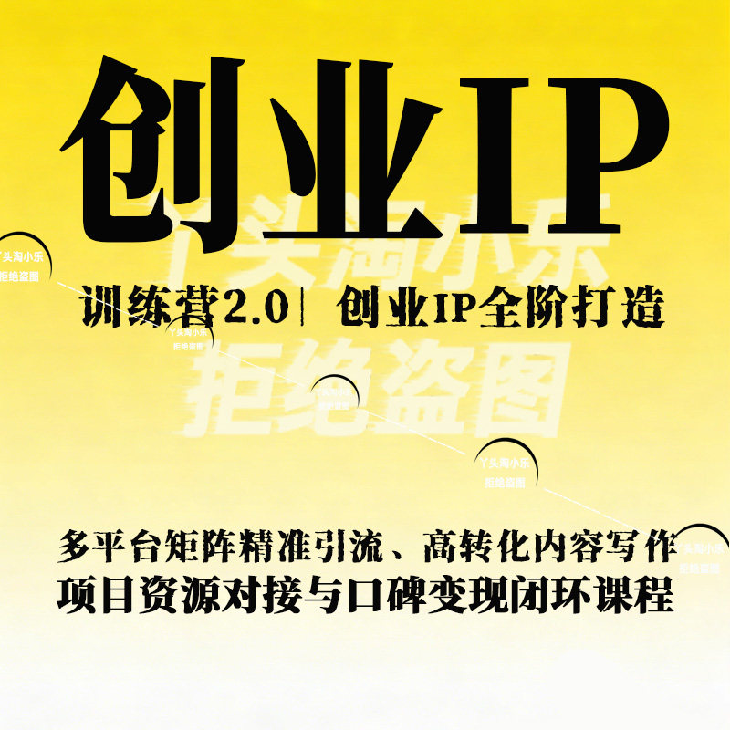 创业IP训练营2.0全阶打造多平台矩阵精准高转化资源对接变现闭环