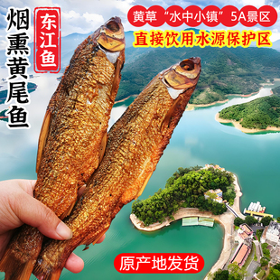 东江湖5A生态淡水黄尾鱼干黄草镇土特产肉厚肉紧实自然生长鱼干