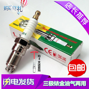 福特嘉年华 福克斯福睿斯 蒙迪欧翼博翼虎麦克斯 油气两用火花塞