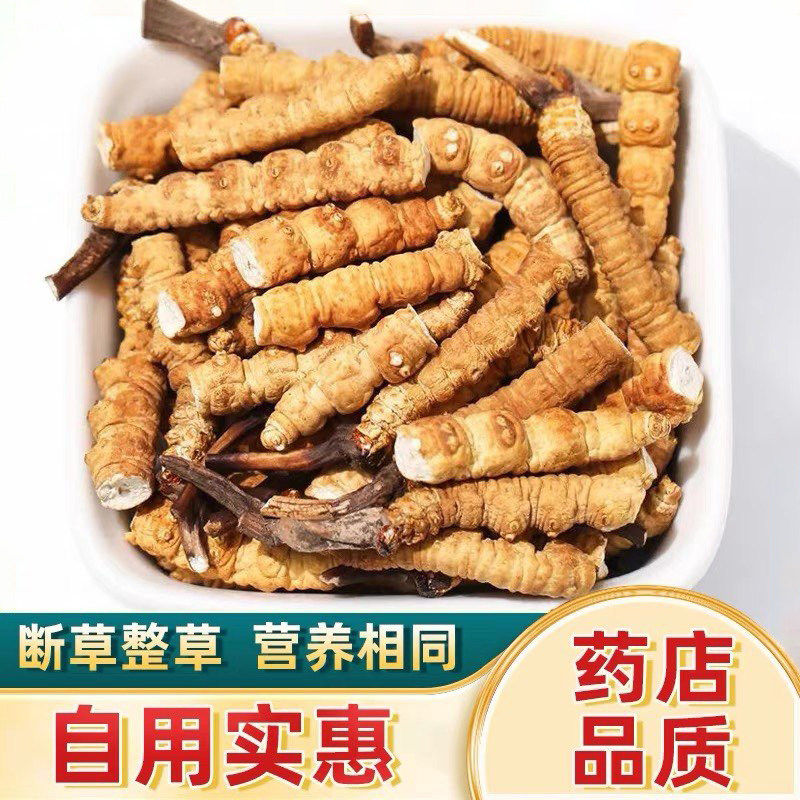 2025藏区冬虫夏草大断草 三根/克 冬虫夏草干货正宗 断虫草可泡酒