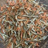 下饭菜下酒菜 小鱼小虾混合装 小鱼干货 江西特产小虾干可批发