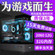 十核吃鸡主机高配游戏型电竞直播专用台式 机英雄联盟电脑 DIY组装