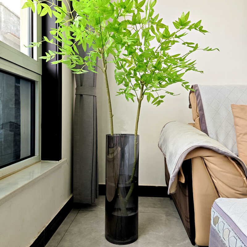 转运竹老式办公室花瓶大号玻璃轻奢高级感富贵竹专用高款落地摆件