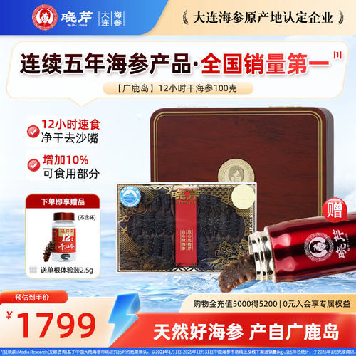 广鹿岛产12小时干海参100克