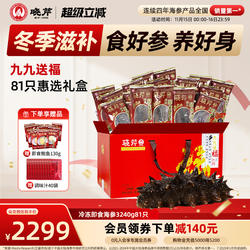 【冬补九九81天】晓芹海参81只礼盒大连即食辽海刺参3240克送鲍鱼