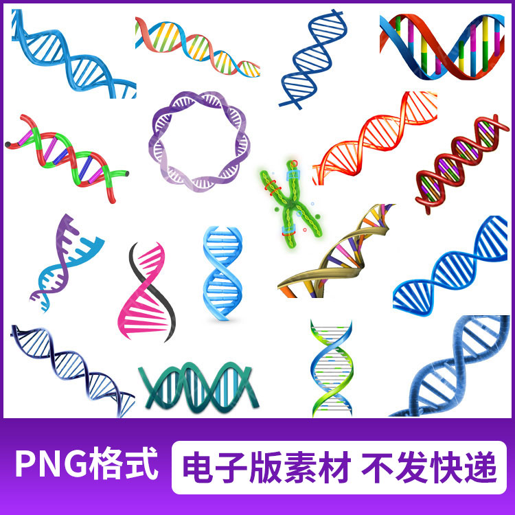 png格式dna脱氧核糖核酸分子结构图图片免抠元素透明底设计素材
