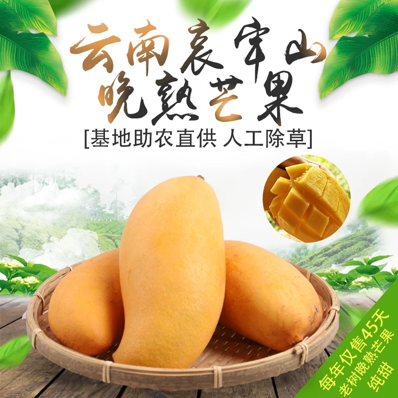 芒果香甜多汁云南晚熟芒果景东芒新鲜水仙芒甜心芒应季水果