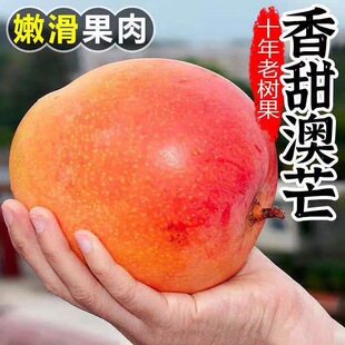广西澳芒热农芒奶油芒整箱当季新鲜水果包邮苹果芒非大金黄芒果